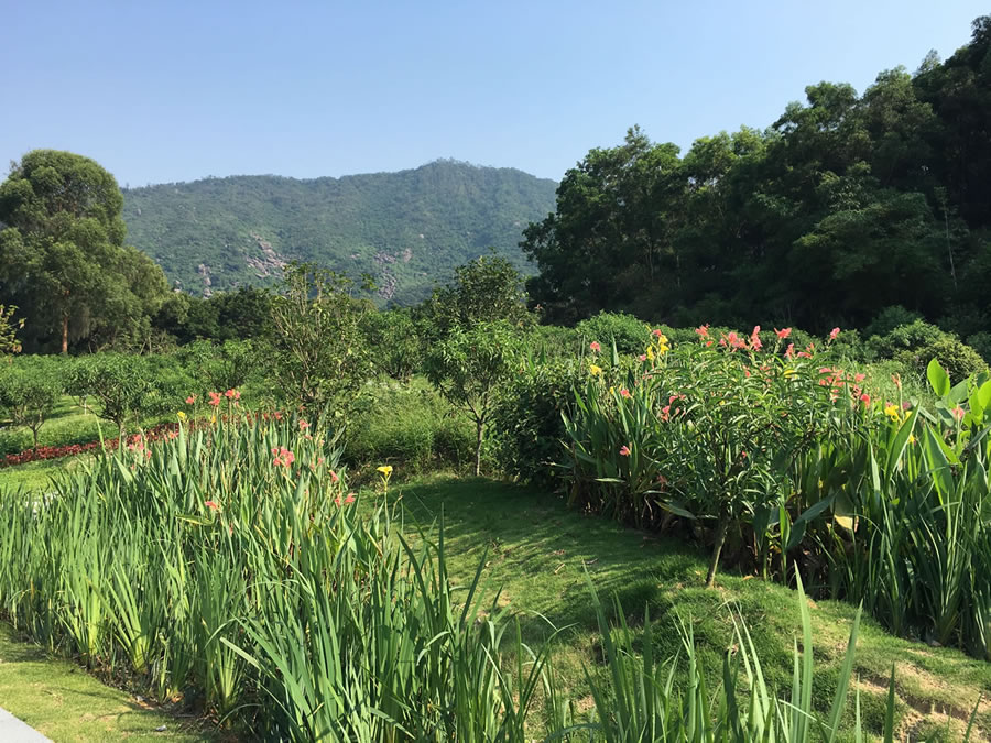 鐐瑰嚮娆ｈ祻绗�3寮犲浘鐗�