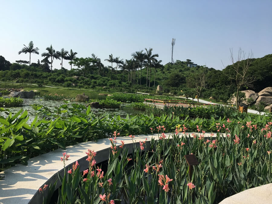 鐐瑰嚮娆ｈ祻绗�5寮犲浘鐗�