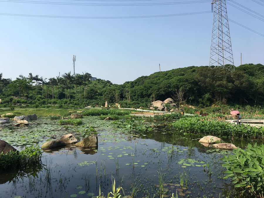 鐐瑰嚮娆ｈ祻绗�6寮犲浘鐗�