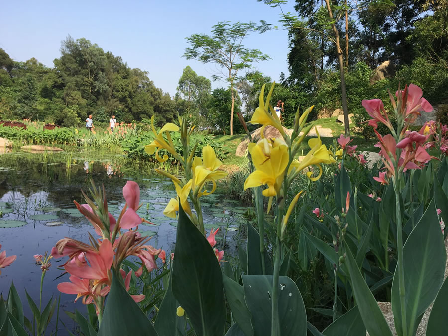 鐐瑰嚮娆ｈ祻绗�8寮犲浘鐗�