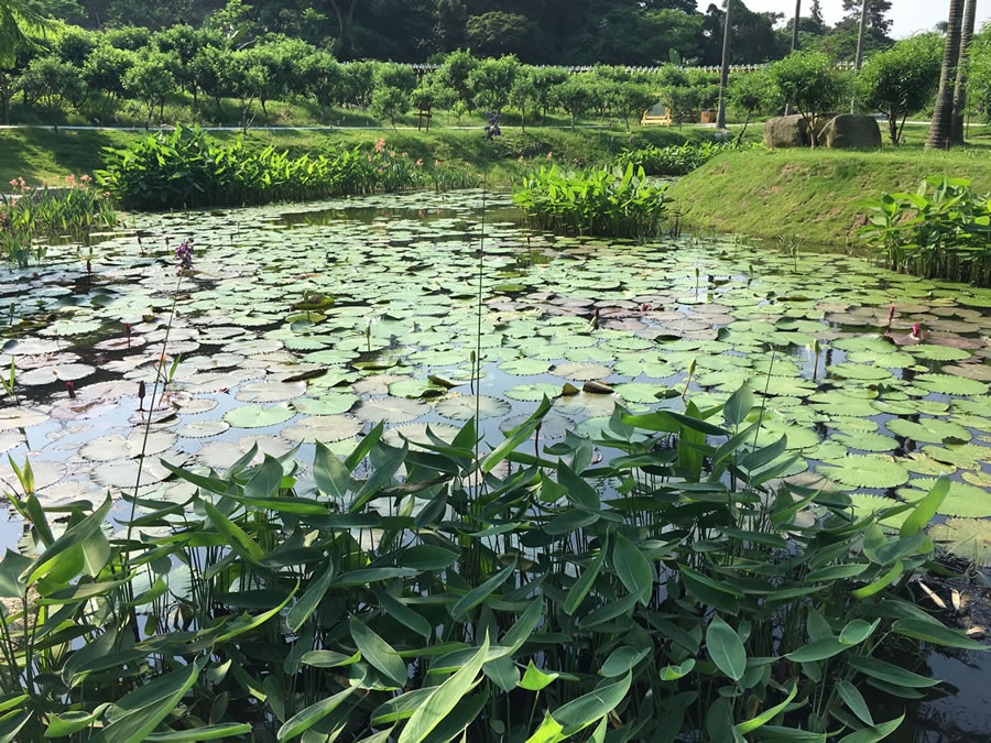 鐐瑰嚮娆ｈ祻绗�9寮犲浘鐗�